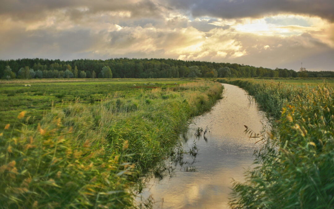 TN Multi-Sector General Permit | 2025 Update