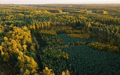 2025 Regulatory Due Dates